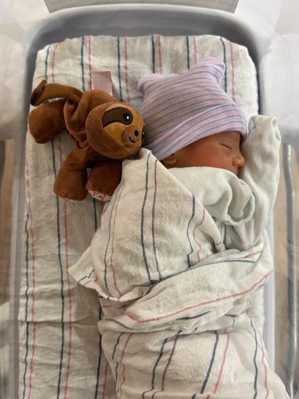 Источник: annakournikova / Instagram (экстремистская организация, деятельность запрещена на территории РФ)