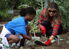 Леди с грядки: Мелания Трамп посадила капусту на огороде Обамы
