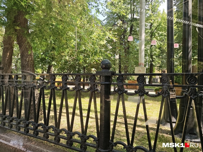 Это один из самых красивых и зеленых участков | Источник: Анастасия Харитонова / MSK1.RU