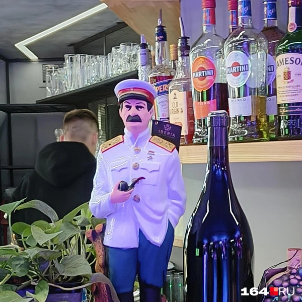 Источник: Антон Васильченко / 164.RU