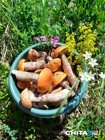 Источник: очевидец