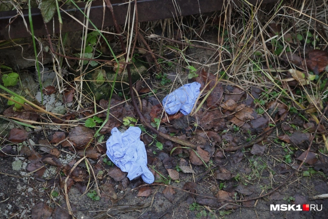 Источник: Дмитрий Толстошеев / MSK1.RU