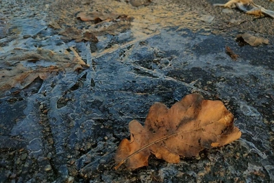 В Петербурге ожидаются холодные выходные с заморозками