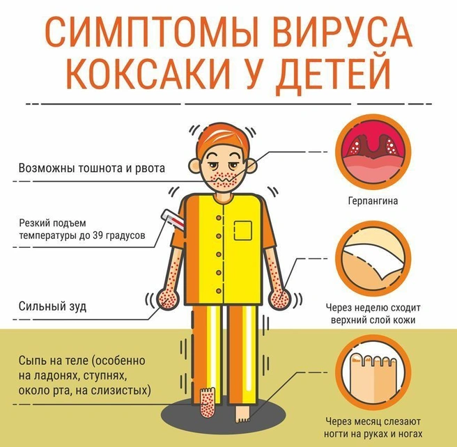 Источник: Городские медиа