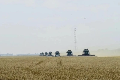 Томские аграрии подводят промежуточные итоги уборочной