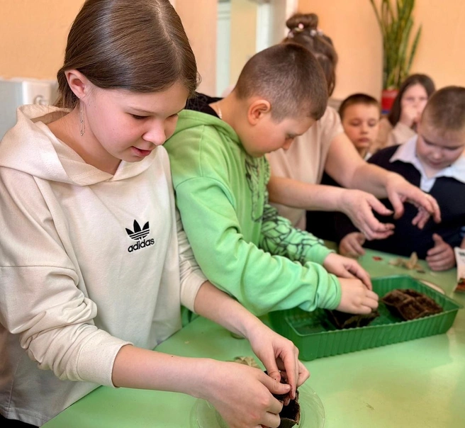 Источник: mincx.novreg.ru