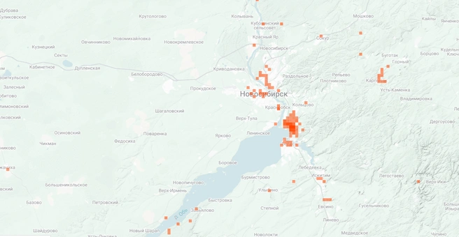 Шампиньоны активно растут в Новосибирской области  | Источник: inaturalist.org