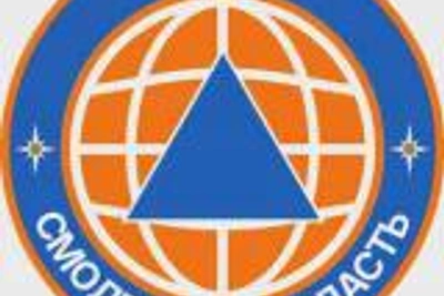 МЧС России в МАКС