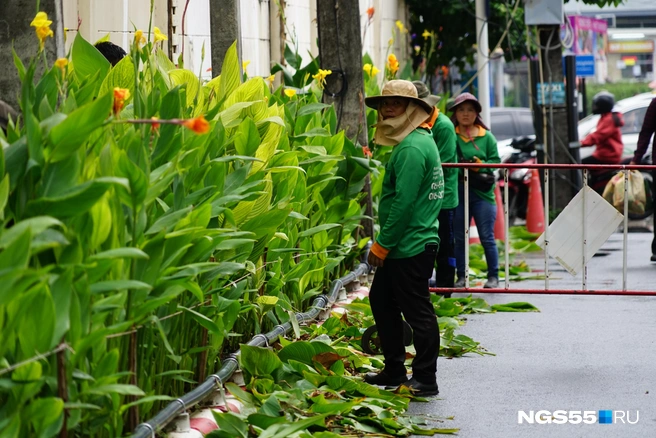 За растениями ухаживают | Источник: Тамара Башаева / NGS55.RU