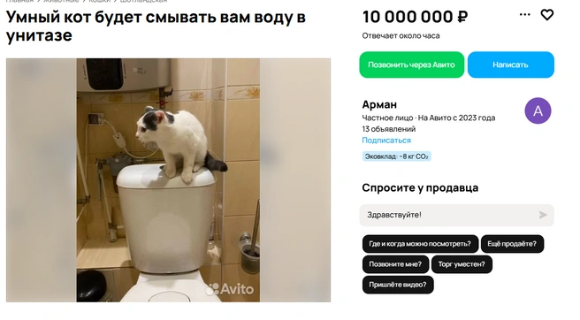 Как удержаться от такого предложения? | Источник: Avito.ru