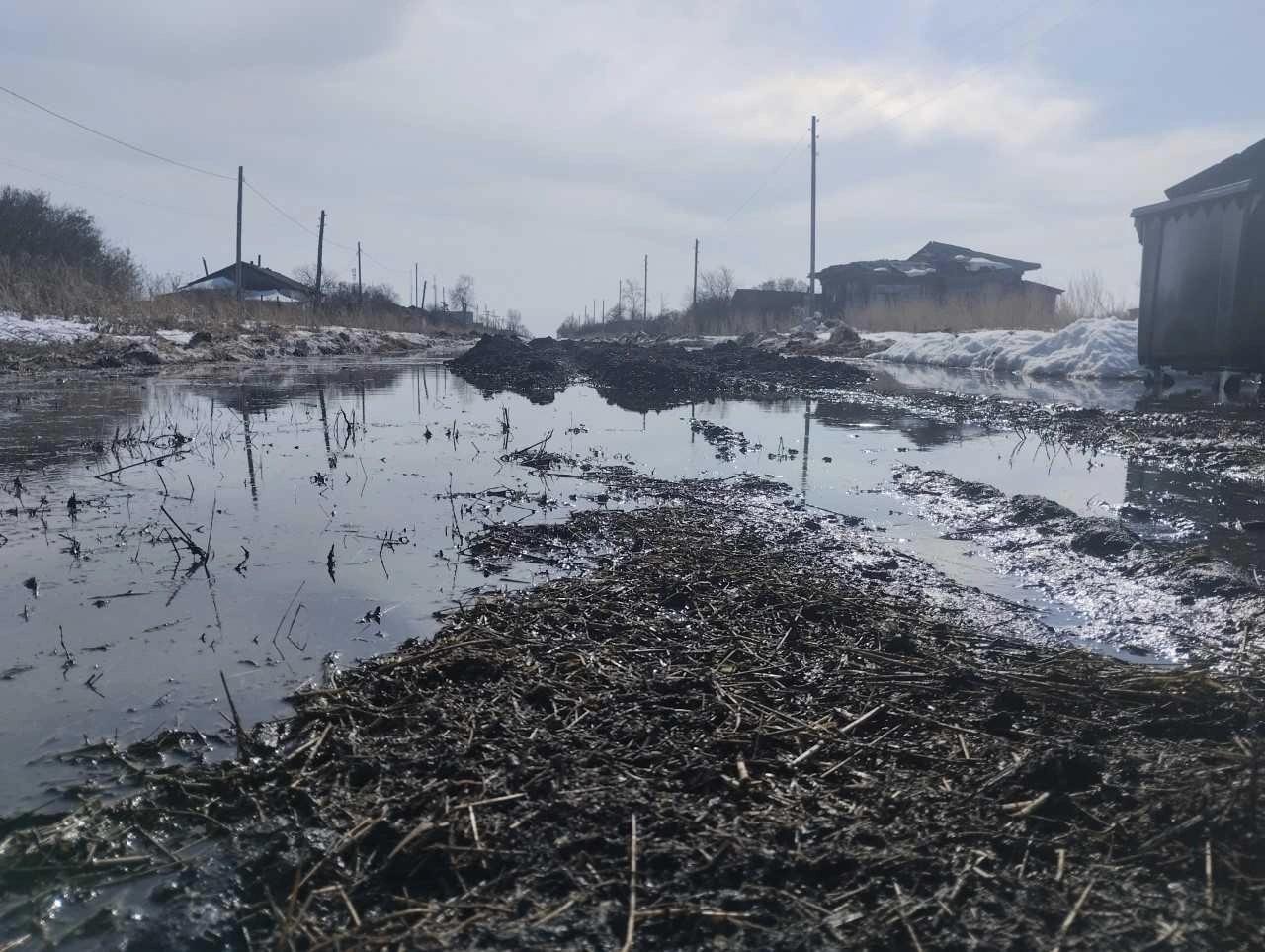 Бастрыкин поручил завести уголовное дело из-за плохой дороги в зауральском селе