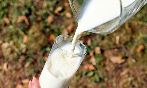 Эксперты признали подделкой 8 из 10 образцов молока из магазинов Петербурга