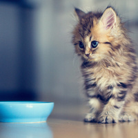 Аватарка Мариночка