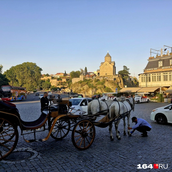 Источник: Виктория Федорова / 164.RU