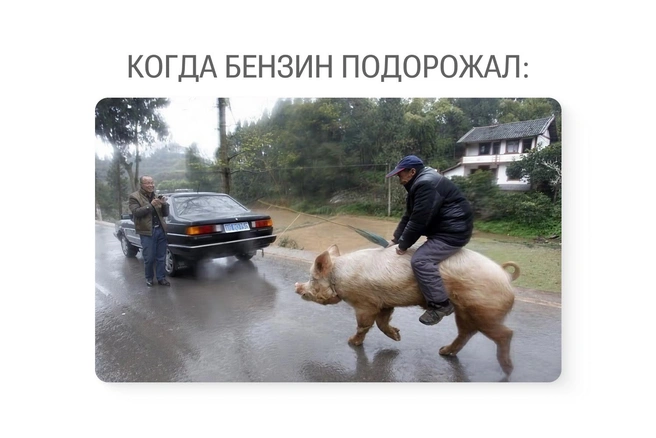 Экономия на топливе вынуждает искать альтернативные виды транспорта | Источник: Юрий Скулыбердин / Городские медиа