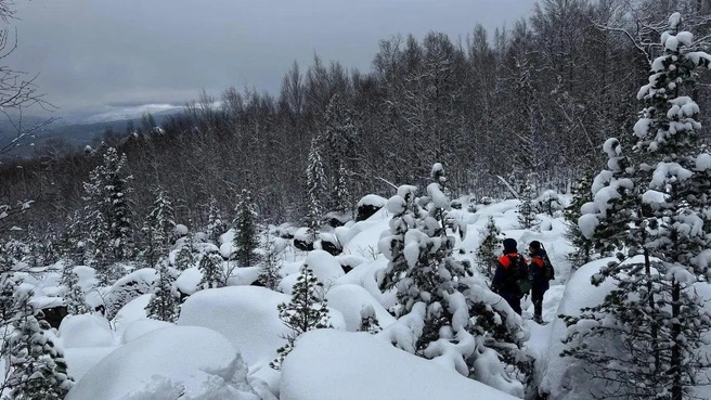 В «ЛизаАлерт» рассказали, когда будет реальный шанс найти семью Усольцевых | Источник: ДПСО «ЛизаАлерт» Красноярского края