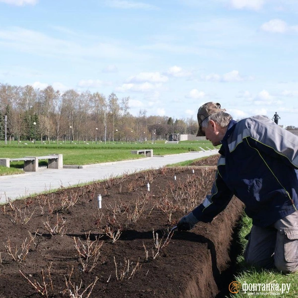 Источник: Анжела Мнацаканян