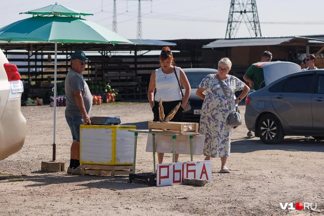 От рыбы осталось буквально одно название, и пара щук | Источник: Алексей Волхонский / V1.RU