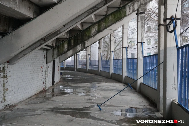 Источник: Дмитрий Волгин / Voronezh1.ru