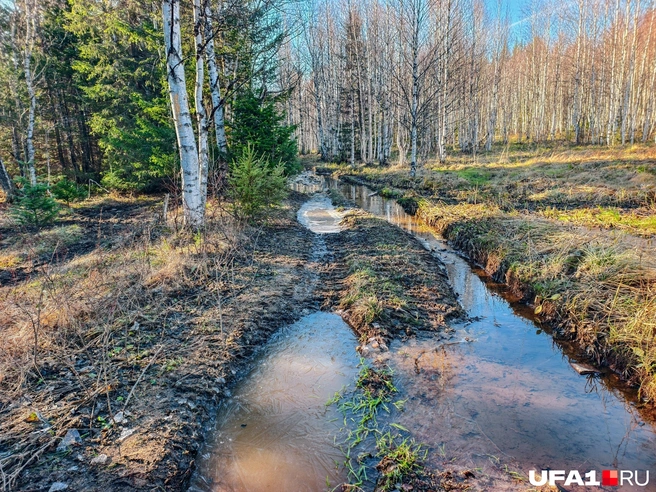 А вот дорога не вызывает восторга | Источник: Булат Салихов / UFA1.RU