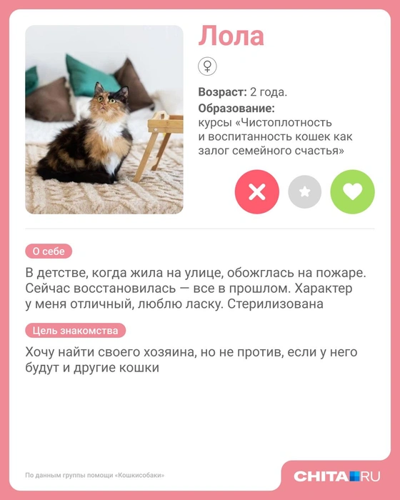 Источник: Юрий Скулыбердин / Городские медиа