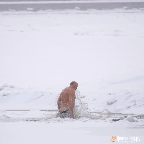 Источник:  Павел Даиси / «Фонтанка.ру
