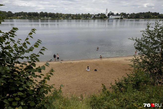 Береговая зона в парке довольно просторная | Источник: Александр Куренной / 76.RU