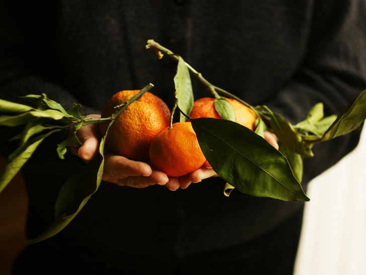 Как вырастить мандарин из косточки дома: 9 простых шагов
