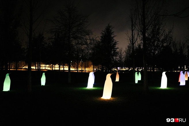 Очаровательные светящиеся пингвины | Источник: Дарья Паращенко / 93.RU