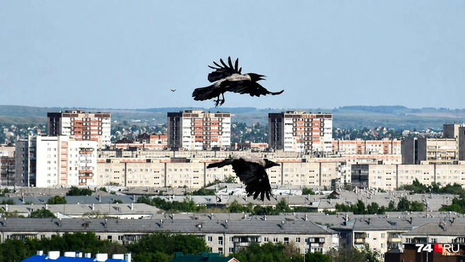 Магнитогорск имеет и обширную позднесоветскую застройку, типовую и скучную | Источник: Артем Краснов