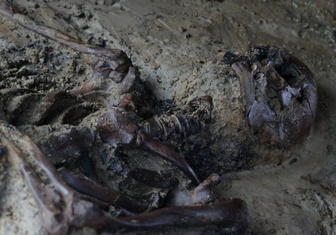Археологи нашли еще одну жертву извержения Везувия