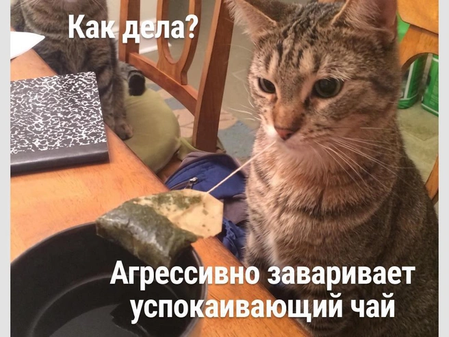 Побольше ромашки не помешает | Источник: Городские медиа