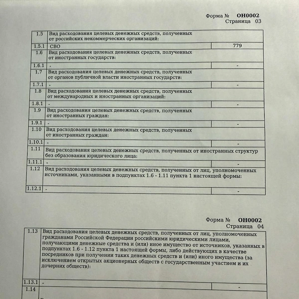 отчет за 2024 год | Источник: Город-милосердия.рф