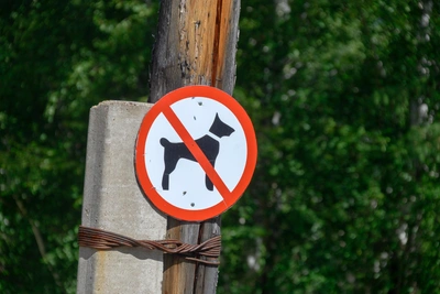 Animal rights activists suggest burning dog critics after child's death