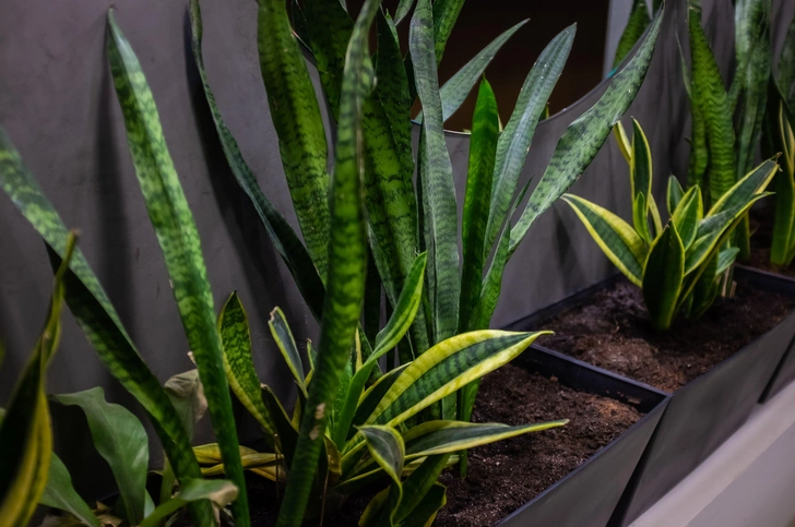 Источник: Yevhenii Khil / Legion Media