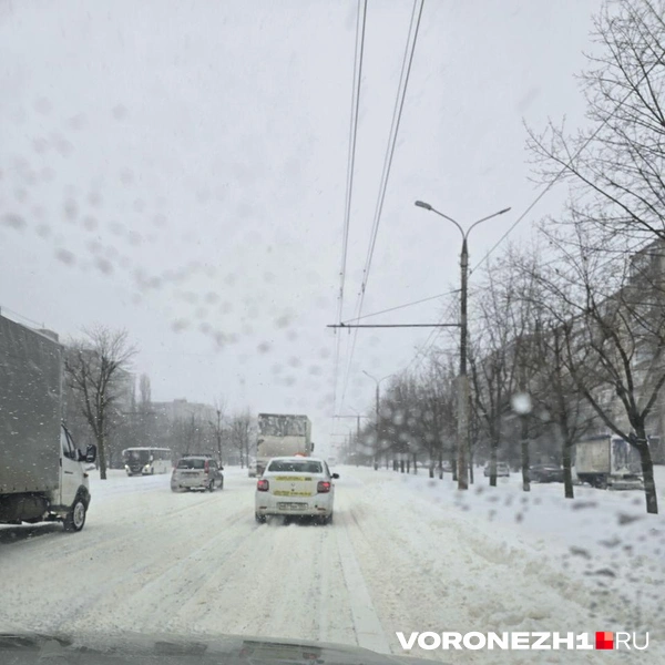 Источник: Ирина Булгакова/ Voronezh1.ru