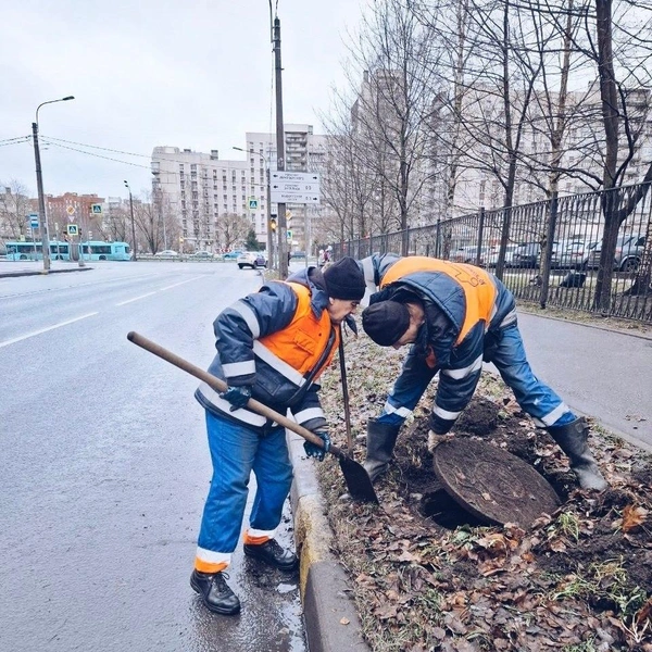 Источник: Комитет по благоустройству Петербурга