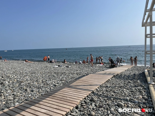 Дорожка к морю | Источник: Анна Грицевич / SOCHI1.RU