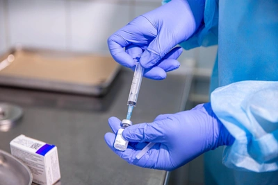 Новая партия вакцин от бешенства поступила в Зауралье