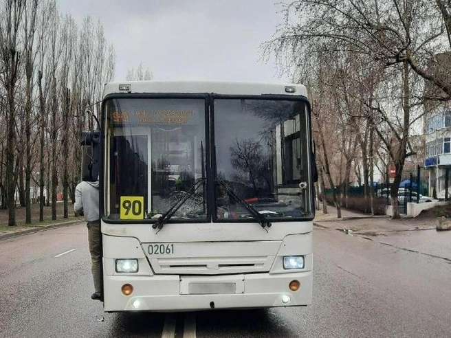 Женщина переходила дорогу в неположенном месте | Источник: МВД России по Воронежской области / T.me