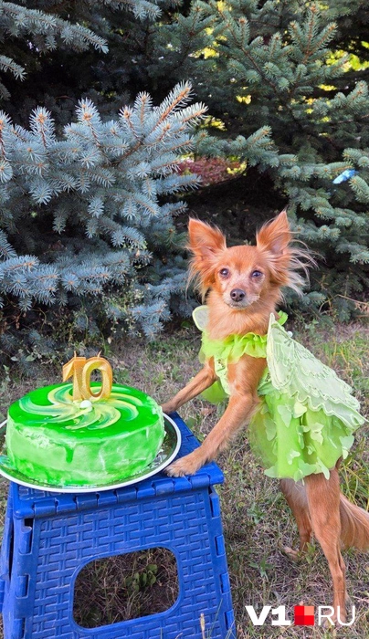 Еще одна красотка-именинница | Источник: читатели V1.RU