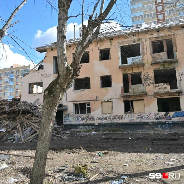 Источник: Василина Любимова / 59.RU