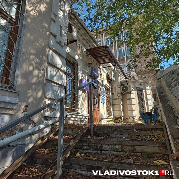 Источник: Елена Буйвол / VLADIVOSTOK1.RU