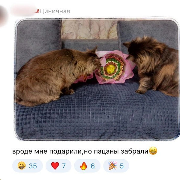 Источник: соцсети