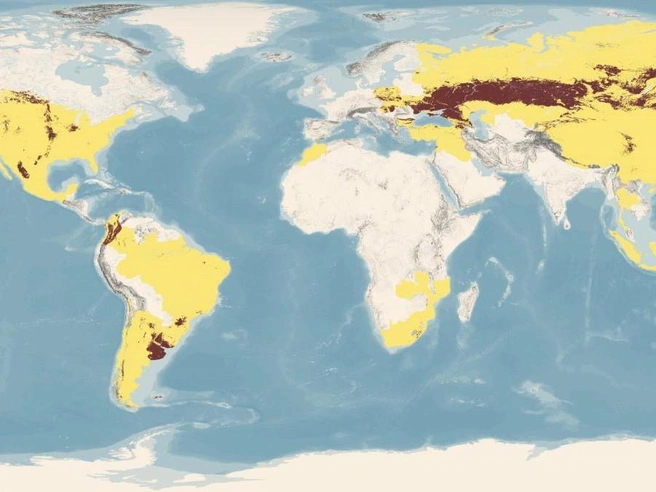 Карта распространения темноцветных почв — black soils | Источник: fao.org