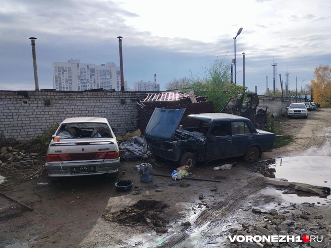 Источник: Дмитрий Волгин / Voronezh1.ru