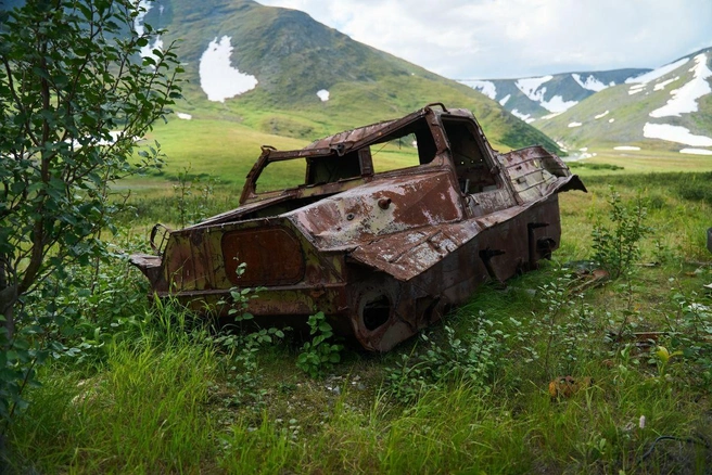 Распилили ли бы или оставили? | Источник: Алексей Сорпов / личный архив