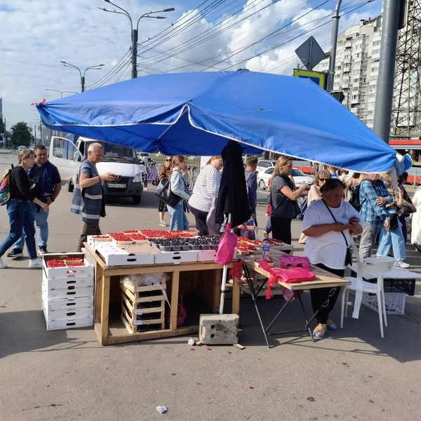 Источник: Официальный канал Комитета по контролю за имуществом Санкт-Петербурга