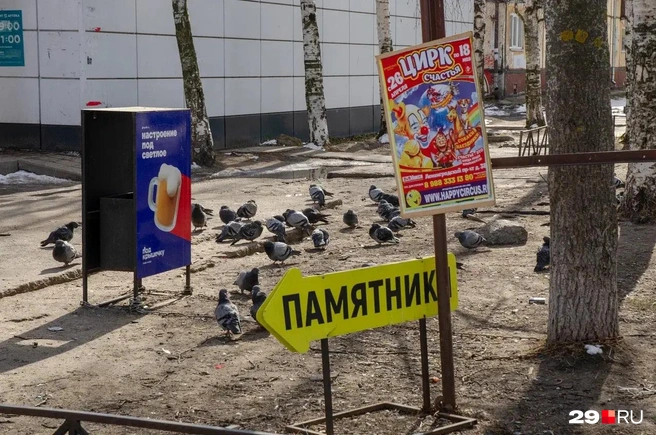 Источник: Александр Тонких