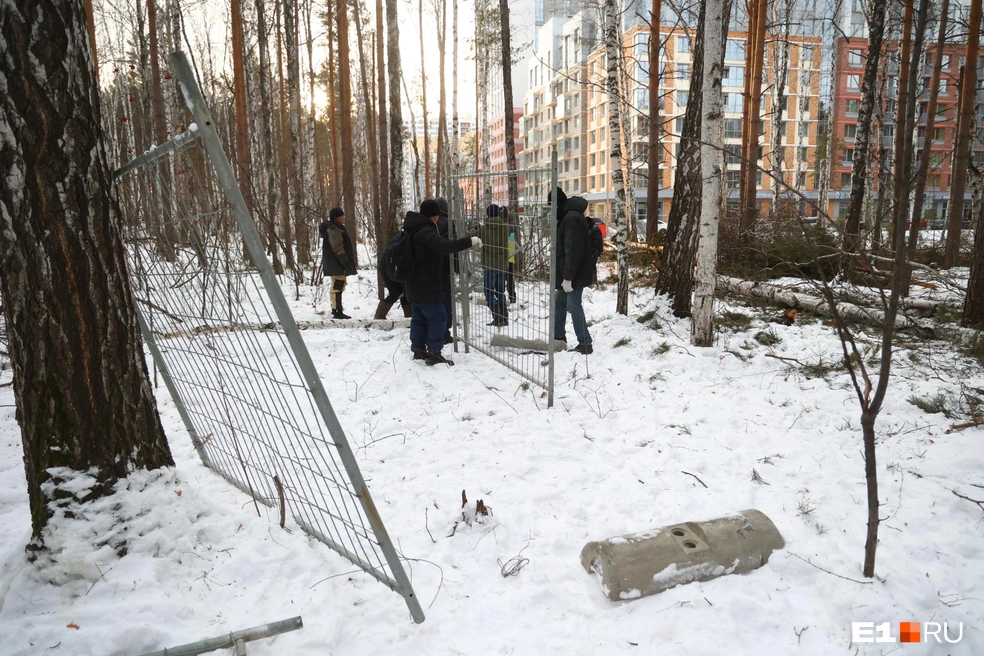 В Екатеринбурге обсуждают судьбу Березовой рощи | Источник: Владислав Лоншаков / E1.RU